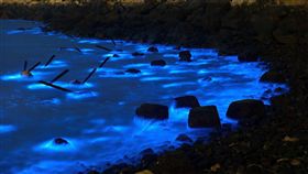 馬祖藍眼淚／翻攝自馬祖藍眼淚臉書(https://www.facebook.com/pages/%E9%A6%AC%E7%A5%96%E8%97%8D%E7%9C%BC%E6%B7%9A/283603988470568?sk=photos_stream)