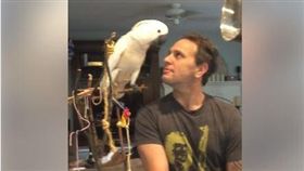 鸚鵡與主人對吼
圖翻攝自ViralHog
https://www.facebook.com/viralhog/videos/1860658257536837/