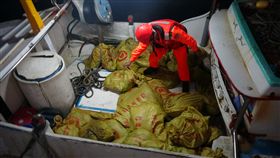 海巡,K他命,漁船,澎湖
圖／中央社