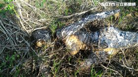 民眾報案有焦屍，警到場：X！塑膠ㄟ 。