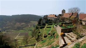 圖說：高居侏羅紀石灰岩懸崖之上的夏隆堡，是侏羅區最傳奇的葡萄酒法定產區，懸崖之下的葡萄園位在侏羅紀早期的里亞斯藍色泥灰質黏土層上，常釀成非常強勁結實，但風味卻又最為優雅，有著百年久存潛力的黃葡萄酒。(攝影者．林裕森)