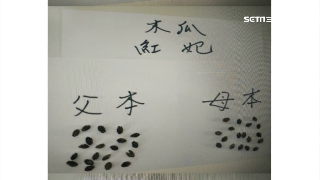 種子龍頭機密遭竊　恐衝擊台灣農業