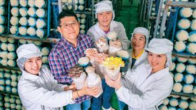 圖說：方世文( 左2) 開發獨家菌種，商業化品種逾10 種，包含少見的粉紅玫瑰菇、杏香菇等獨家產品，還與亞洲大學合作量產香水銀耳。(攝影者．賴建宏)