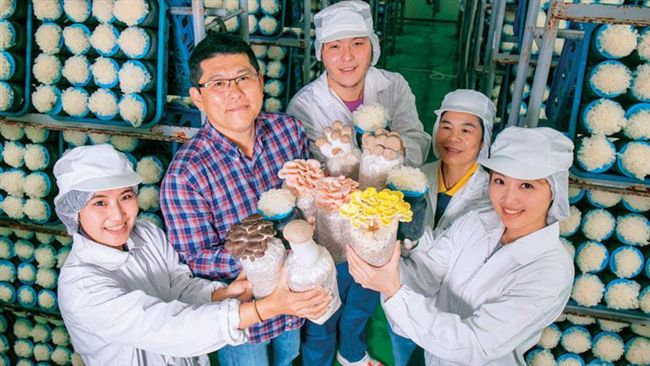 他蓋無塵室種菇　萬豪酒店、王品搶用