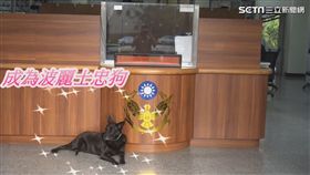 台南市警局波麗士忠狗（小黑）