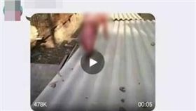 圖翻攝《中國經濟網》