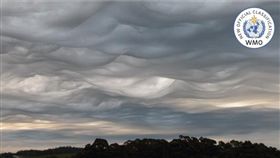 波浪狀糙面雲
國際雲圖集網頁www.wmocloudatlas.org