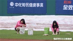 富邦悍將,中信兄弟,新莊棒球場 圖／記者林敬旻攝