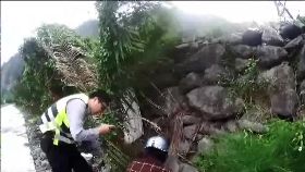 d毒蟲撿石頭1700