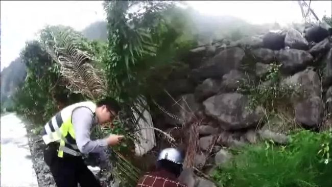 男蹲路旁撿石頭超詭異　警盤查是毒蟲