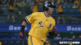 中信兄弟陳子豪 圖／記者林敬旻攝