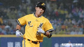 中信兄弟曾陶鎔（圖／記者林敬旻攝）