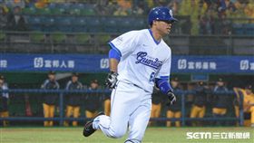 中華職棒28年開幕戰,富邦悍將,中信兄弟 圖／記者林敬旻攝