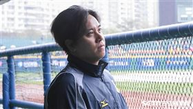 兄弟象投手陳鴻文,郭泰源 圖／記者林敬旻攝