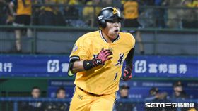 中信兄弟陳子豪　圖／記者林敬旻攝