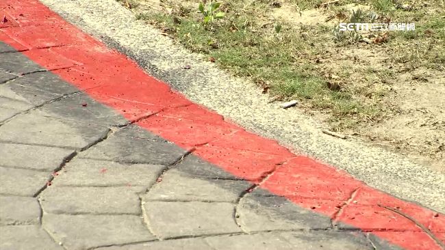 違停害女騎士撞癱　車主：我只停紅線