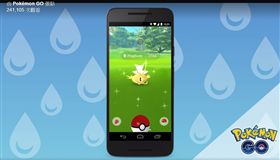 精靈寶可夢　Pokemon GO　色違　金色鯉魚王