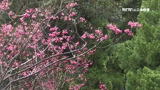 春遊補助計4月上路！另擬增加碼機制