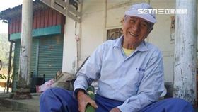 草地狀元（圖／草地狀元）