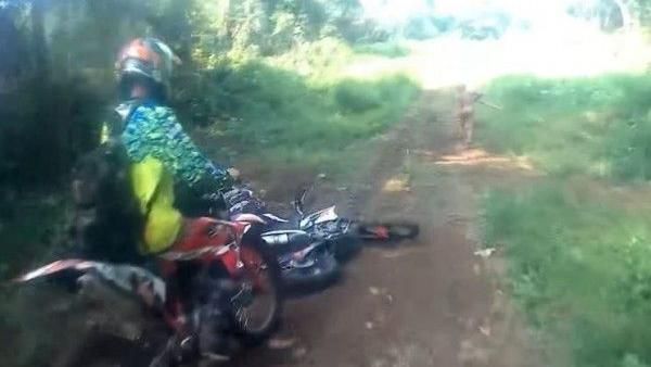 「哈比人」驚現印尼？禿頭又跑得飛快