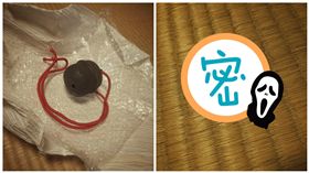 日本臼齒鈴鐺（圖／翻攝自日浦 魁推特）