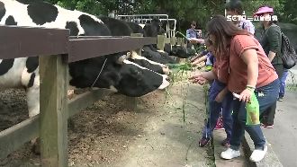 餵食挑釁犯大忌！手腳跨欄杆恐釀危險