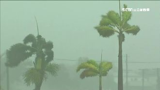 熱帶氣旋直撲澳洲　數萬民眾遭撤離