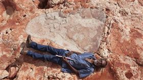 澳洲侏儸紀公園 考古 腳印
http://www.abc.net.au/news/2017-03-27/world-biggest-dinosaur-footprint-found-north-western-wa/8391098