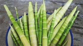 春筍 圖/翻攝自新浪網