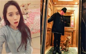 歐陽妮妮；男友IG