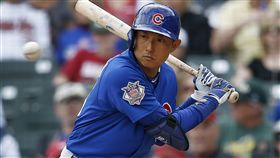 川崎宗則（圖／美聯社／達志影像）