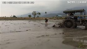 衝浪不用到海邊！ 農村版衝浪這樣玩。（圖／翻攝自小劍劍 務農夫婦X田園日記臉書）