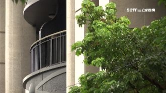 嗆「你是什麼東西」　這一句罰5千元