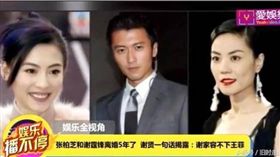 張柏芝,謝霆鋒,離婚,兒子,負面新聞,王菲,謝賢,再婚　圖／翻攝自中華網