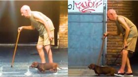  臘腸狗,老人,散步,the Dodo,毛小孩,狗狗,汪星人　圖／翻攝自臉書