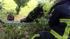 男遭高壓電電擊墜下／新北市消防局提供