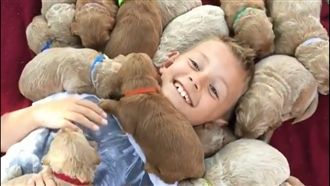 小男孩與滿滿小黃金　94要膩在一起