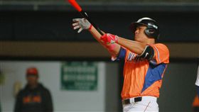 ▲鄭鎧文（資料照／統一獅提供）