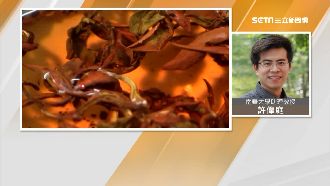 喝完別急著丟！茶包能除臭、防鐵鏽