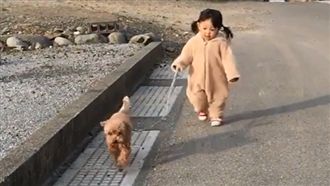 小女孩の遛狗日常　貴賓開心衝第一♥