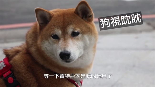 新北市最乾淨　朱立倫派「牠」來道謝