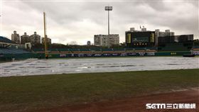 新莊棒球場場地積水延賽（圖／記者陳怡汝攝）