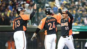 統一獅（圖／獅隊提供）