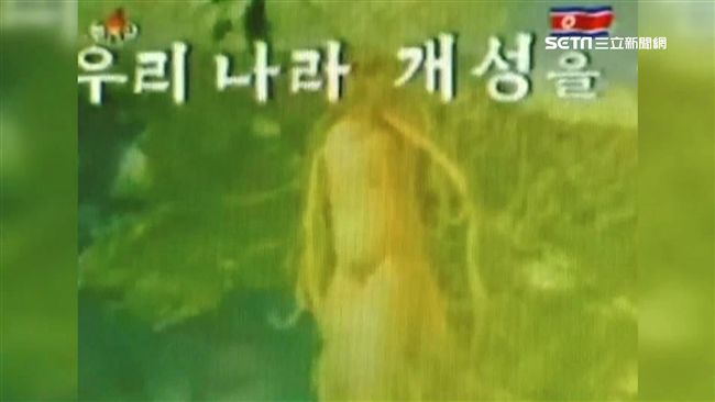 北韓欠捷克3億　曾提拿百噸人蔘抵債