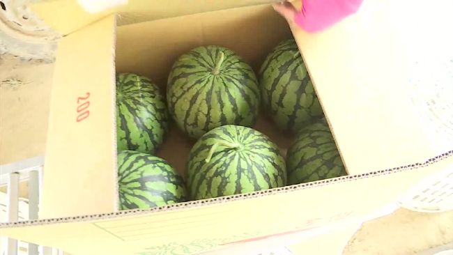 行口說了算！農民買賣靠「信任」收錢