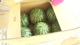 行口說了算！農民買賣靠「信任」收錢