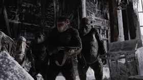 《猩球崛起：終極決戰》　圖／福斯提供