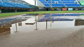 桃園球場積水延賽（圖／中職提供）
