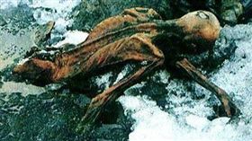 冰人奧茲（圖／翻攝自文景網）