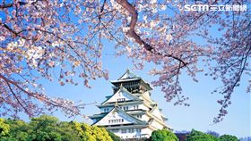 清明連假十大熱門旅遊地　國人最愛哈日瘋韓